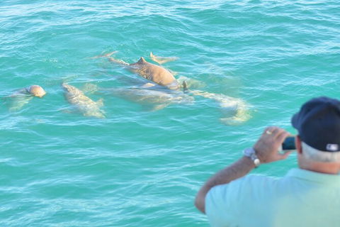 Snubfin Dolphin Eco Cruise From Broome - Accommodation Sydney 3