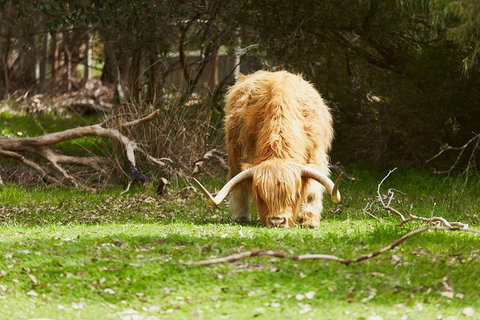 Private Custom Margaret River Tour - Sydney Resort 21