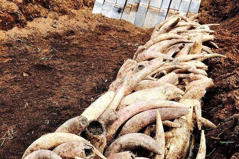 Private Custom Margaret River Tour - Sydney Resort 12