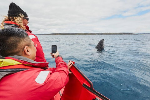 Private Custom Margaret River Tour - Sydney Resort 16