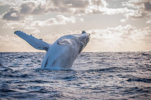 Private Custom Margaret River Tour - Sydney Resort 18