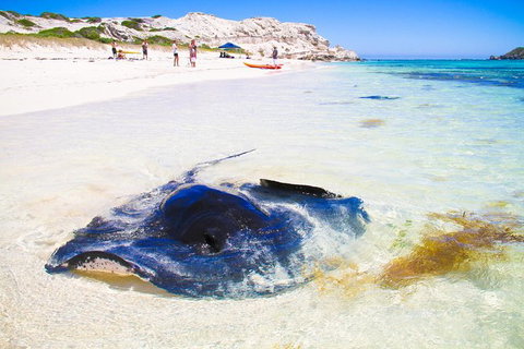 Private Custom Margaret River Tour - Sydney Resort 2