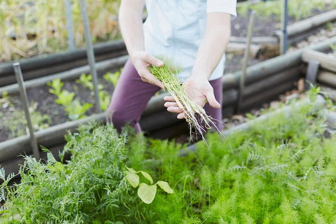 Private Custom Margaret River Tour - Sydney Resort 22