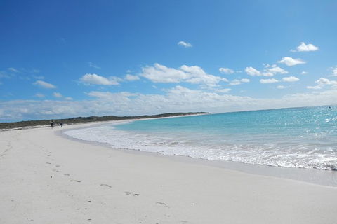 Shipwreck Special Nature Tour/Half Day Tour - Accommodation Sydney 0