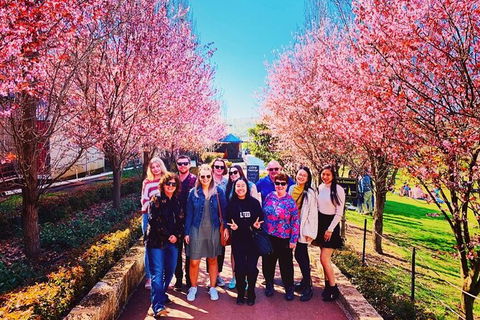 Small-Group Bickley Valley Wine Tour - Accommodation Sydney 10