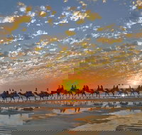 Broome City Sightseeing Tour with Optional Camel Ride - Sydney Resort