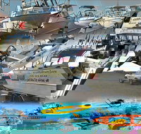 6-Metre Boat Renat Explore Exmouth's Ningaloo Reef - Accommodation Sydney