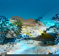 Turtle and Reef Adventure - Accommodation Sydney