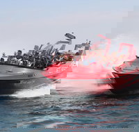 Dunsborough 30-Minute Jet Boat Ride - Sydney Resort