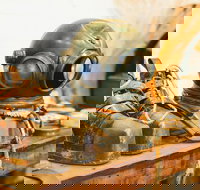 1.5-Hour Historical Pearl Luggers Tour in Broome - Sydney Resort