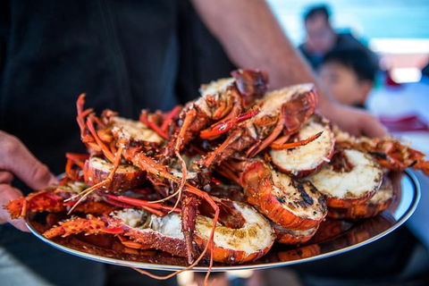 Mandurah Wild Seafood Adventure Cruise - Sydney 4u 1