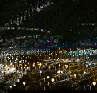 National Anzac Centre Field of Light Panorama Pass - Sydney 4u