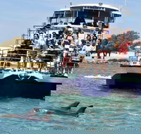 Mandurah Dolphin and Scenic Marine Cruise - Sydney 4u