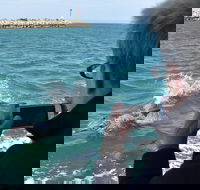 Mandurah Dolphin Island Adventure - Sydney 4u