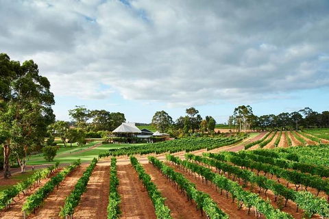 Vasse Felix Winery Tour And Tasting - Sydney 4u 2