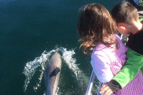 Sunset Sail Cruise Out Of Fremantle - Accommodation Sydney 1