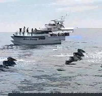 Busselton Whale Watching Eco Tour - Accommodation Sydney