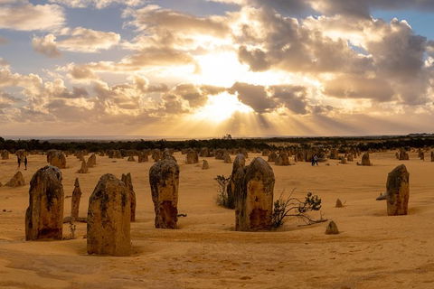 Half Day Pinnacles Sunset Tour - Sydney 4u 1