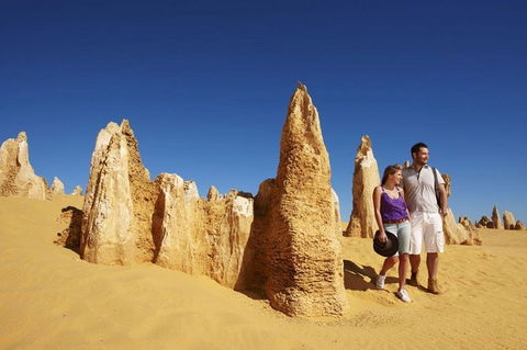 Half Day Pinnacles Sunset Tour - Sydney 4u 7