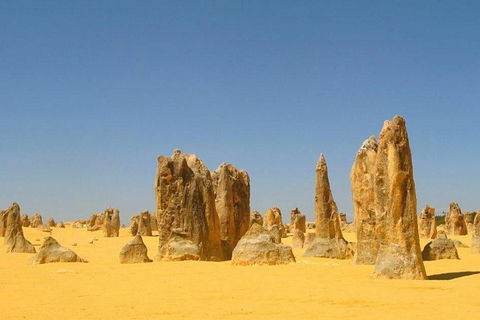 Half Day Pinnacles Sunset Tour - Sydney 4u 6