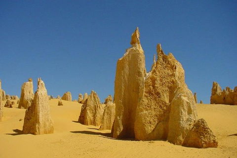 Half Day Pinnacles Sunset Tour - Sydney 4u 5