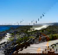 Torndirrup National Park and Bay Highlights - Sydney 4u