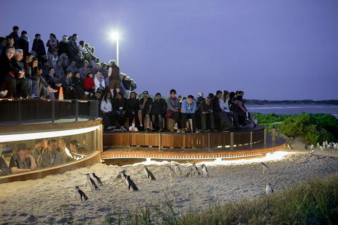 Small-Group Phillip Island Day Trip From Melbourne With Penguin Plus Viewing - Accommodation Sydney 0