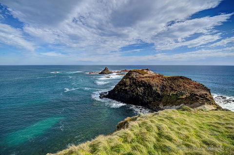 Small-Group Phillip Island Day Trip From Melbourne With Penguin Plus Viewing - Accommodation Sydney 6