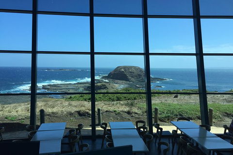 Small-Group Phillip Island Day Trip From Melbourne With Penguin Plus Viewing - Accommodation Sydney 12
