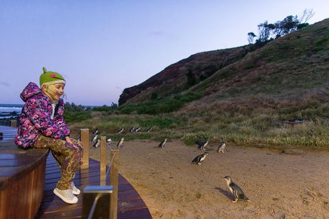 Small-Group Phillip Island Day Trip From Melbourne With Penguin Plus Viewing - Accommodation Sydney 14