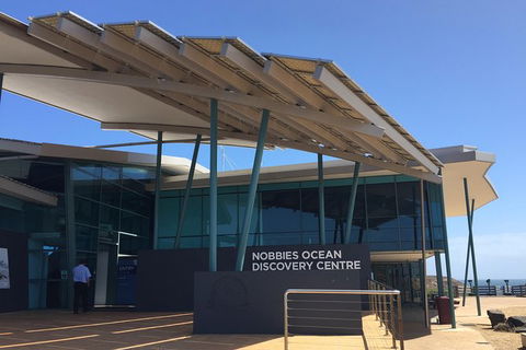 Small-Group Phillip Island Day Trip From Melbourne With Penguin Plus Viewing - Accommodation Sydney 11