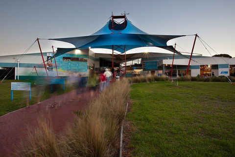 Express Expedition To Phillip Island Penguin Wildlife Encounter Evening Tour - Accommodation Sydney 1