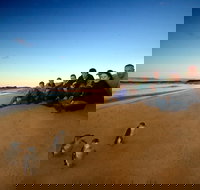 Phillip Island Ultimate Penguin Eco Tour or Skybox Experience - Accommodation Sydney