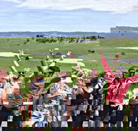 Alternative Yarra Valley Wine Tasting Tour Departing from Melbourne - Accommodation Sydney