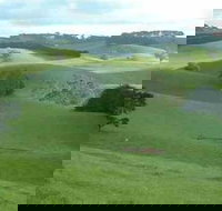 Day Tour of Phillip Island  Surrounding Region - Accommodation Sydney