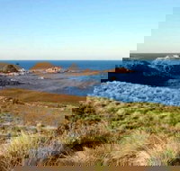 Phillip Island Walking  Bird Watching Tour - Accommodation Sydney