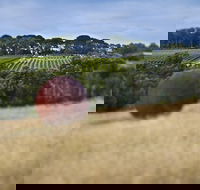 Estate to Plate Montalto Vineyard Gourmet Lunch and Wine-Tasting Tour - Accommodation Sydney