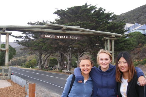 Small-Group Great Ocean Road Classic Day Tour From Melbourne - Accommodation Sydney 8