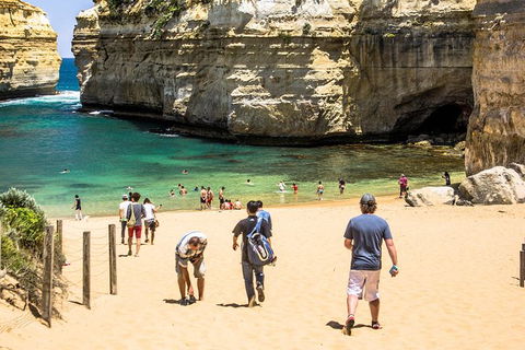 Small-Group Great Ocean Road Classic Day Tour From Melbourne - Accommodation Sydney 6