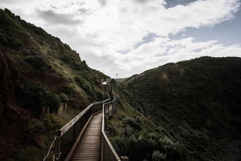 Small Group: Mornington Peninsula Hike And Hot Springs Day Tour From Melbourne - Accommodation Sydney 7