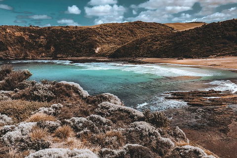 Small Group: Mornington Peninsula Hike And Hot Springs Day Tour From Melbourne - Accommodation Sydney 4