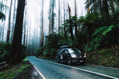 Small Group: Mornington Peninsula Hike And Hot Springs Day Tour From Melbourne - Accommodation Sydney 8