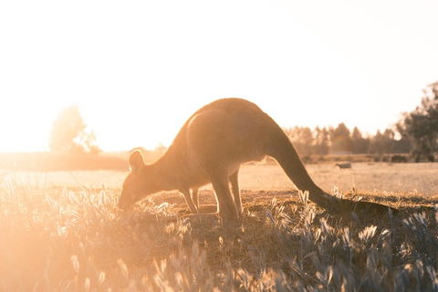Small Group: Mornington Peninsula Hike And Hot Springs Day Tour From Melbourne - Accommodation Sydney 6