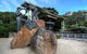 Small-Group Great Ocean Road Tour Experience With Eureka Skydeck Admission - thumb 11