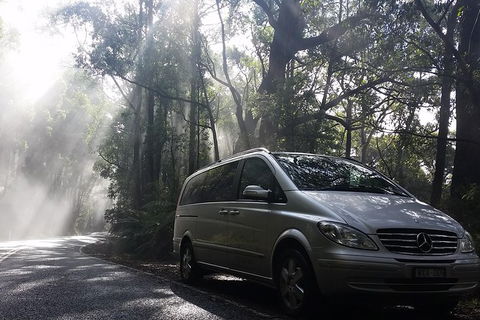 Shore Excursion-Healesville-Sanctuary-Private-Group- Max 7 PAX -Yarra Valley - Accommodation Sydney 0