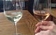 Shore Excursion-Healesville-Sanctuary-Private-Group- Max 7 PAX -Yarra Valley - thumb 1
