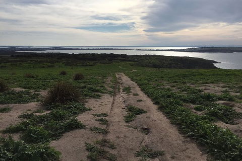Half Day Phillip Island Woolamai Walking Tour - Accommodation Sydney 8