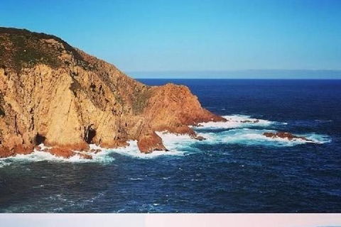 Half Day Phillip Island Woolamai Walking Tour - Accommodation Sydney 6