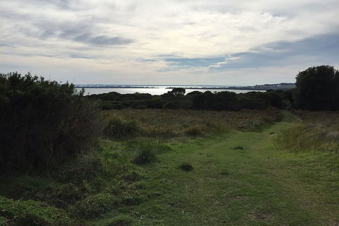 Half Day Phillip Island Woolamai Walking Tour - Accommodation Sydney 4