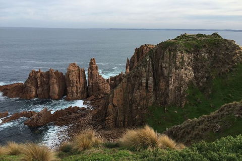 Half Day Phillip Island Woolamai Walking Tour - Accommodation Sydney 16